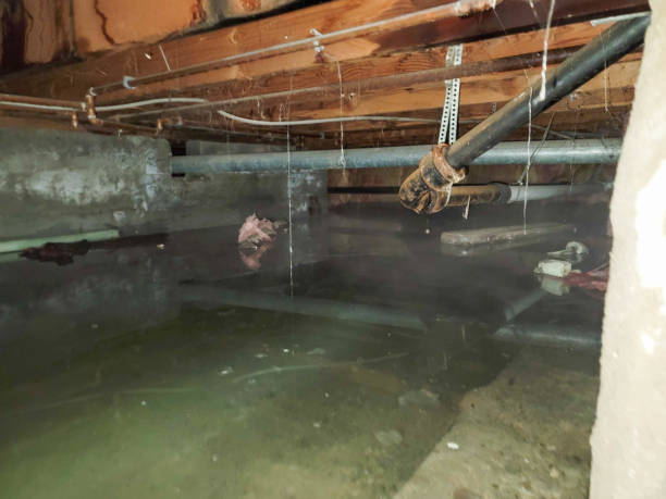 Water damage restoration experts in Buzzards Bay, MA