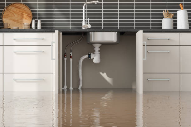Carpet water damage restoration in Buzzards Bay, MA